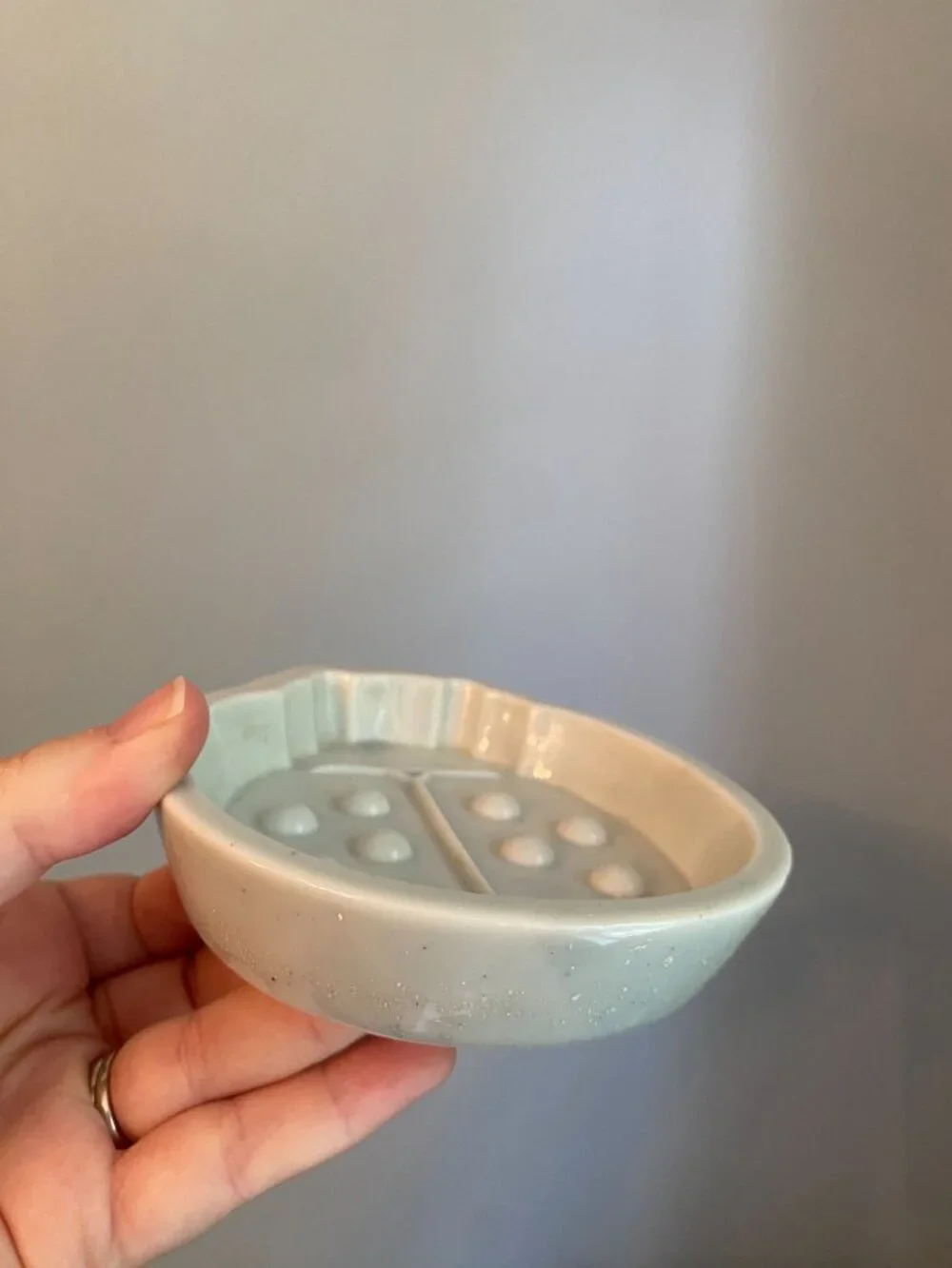 Pottery Sea Green Ladybug Soap Dish